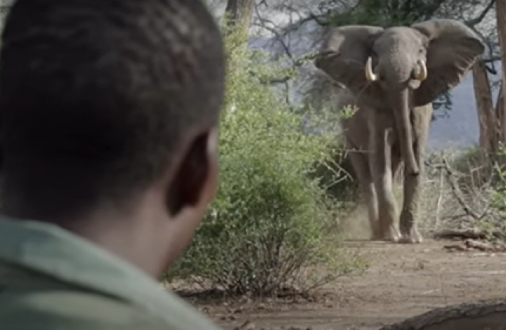 Let Africans Decide: The Importance of Local Community Rights in Ensuring Species Conservation