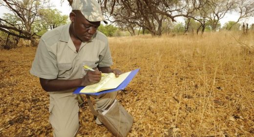 A Namibian game guard filling in his event book.