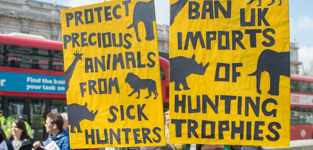 hunting trophies