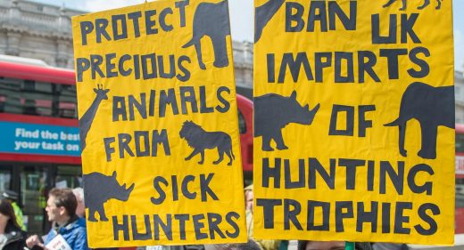 hunting trophies