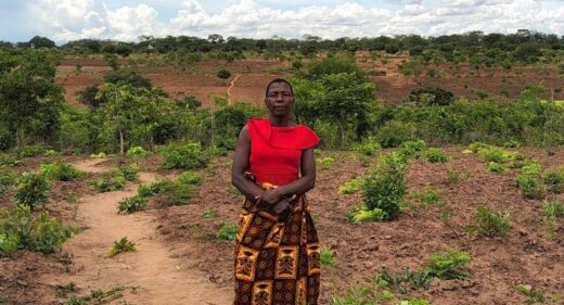 A woman stands facing the camera amongst her soya crops near Kasungu, Malawi.