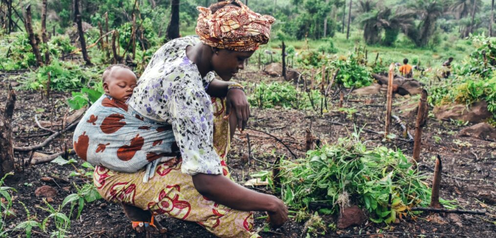 A woman gardens with a child strapped to her back.