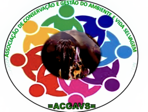 ACGAVs logo