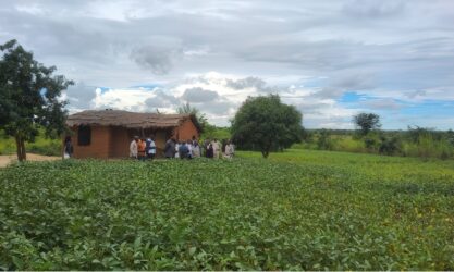 A group of people stand by a decaying hut in a field of soya plants.