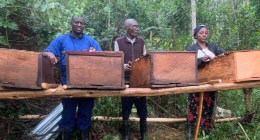 Three people pose with newly constructed hives.