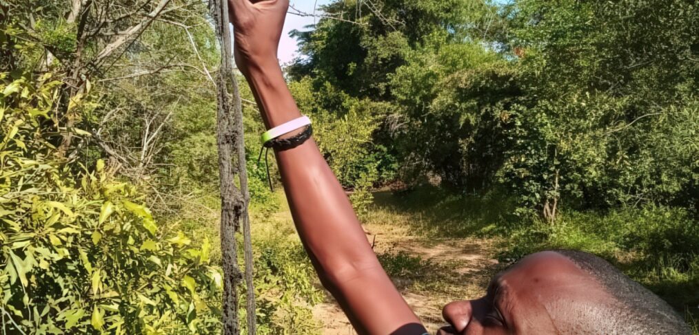 A man reaches up as he works on a chilli fence.