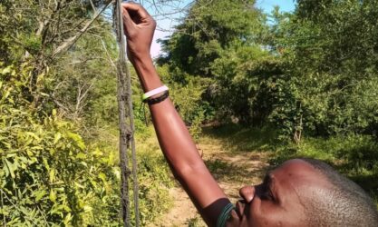 A man reaches up as he works on a chilli fence.