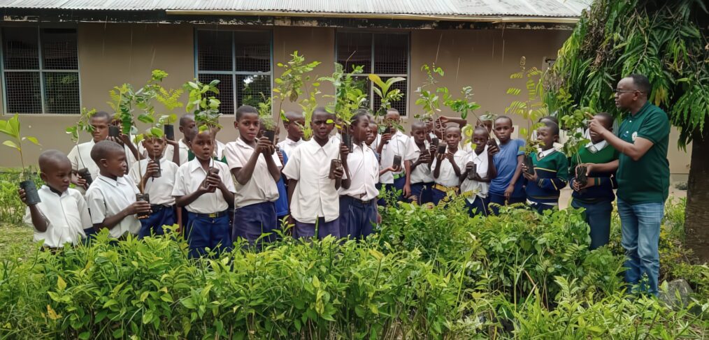 A group of schoolchildren holding baby trees ready to plant.