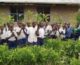 A group of schoolchildren holding baby trees ready to plant.
