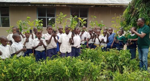 A group of schoolchildren holding baby trees ready to plant.
